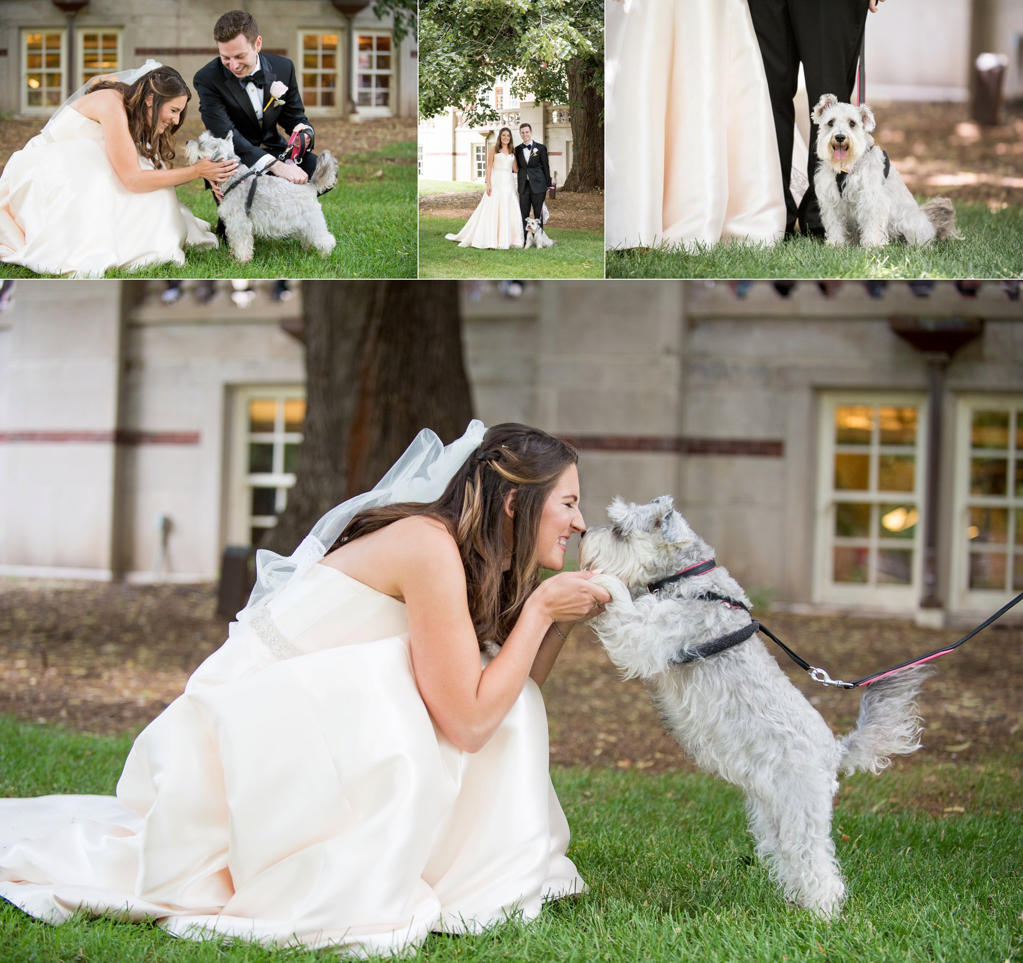 Purdue University Wedding | Ross-Ade Stadium | Gold wedding details | Slayter Hill Wedding | Sarah & Rachel Wedding Photographers | Dog wedding photos