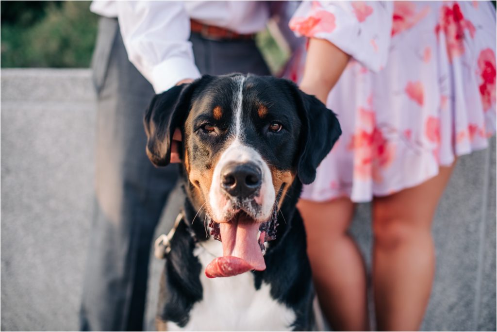 Dog photo with couple during engagement session