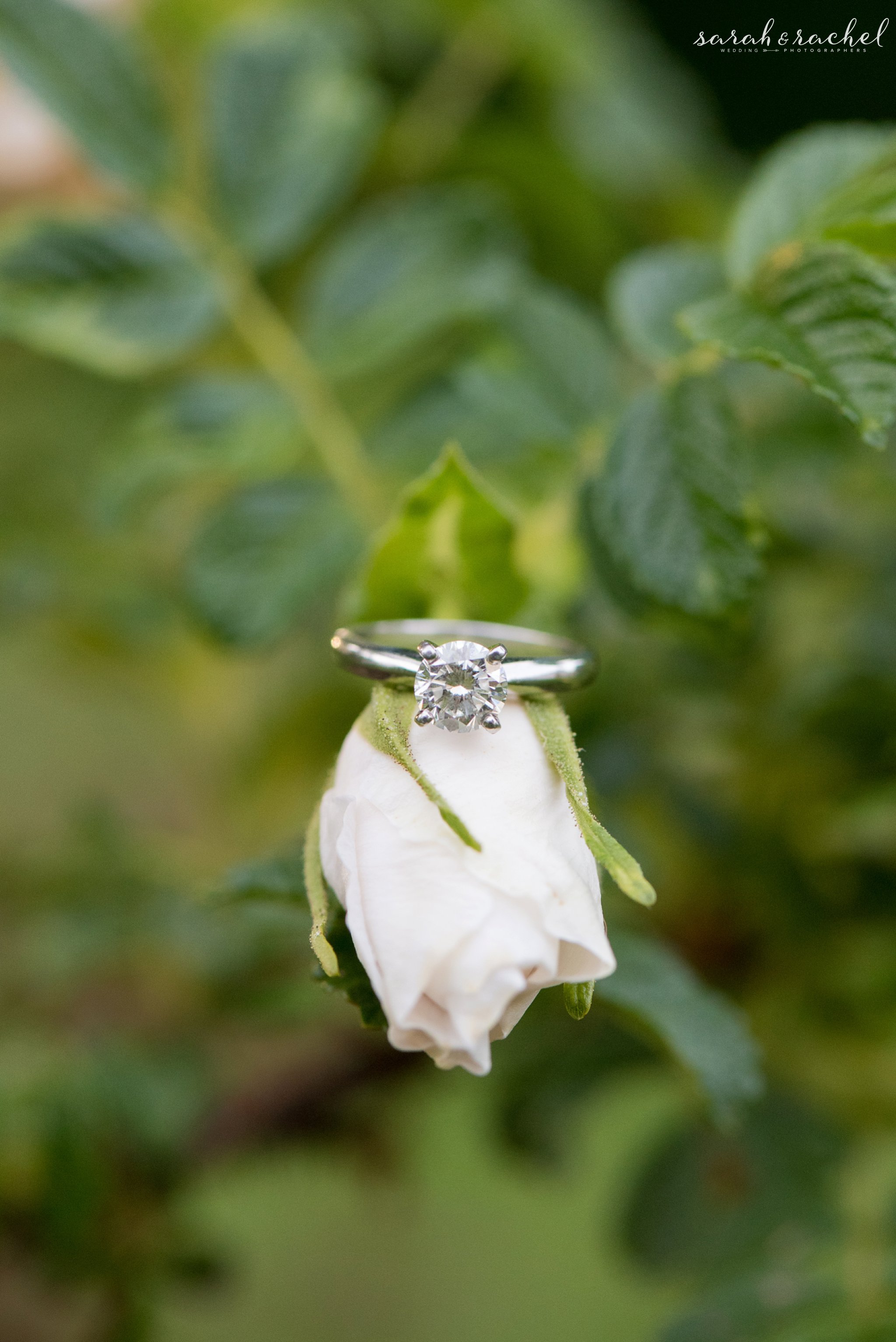 Adam + Elsie | Indianapolis Museum of Art Engagement Session | Indianapolis, IN | Sarah and Rachel Wedding Photographers | Indianapolis museum of art | diamond solitaire engagement ring