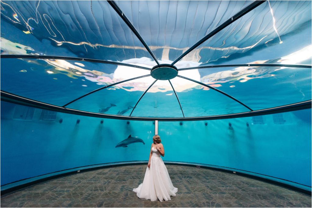 Bride with dolphins on her wedding day 
