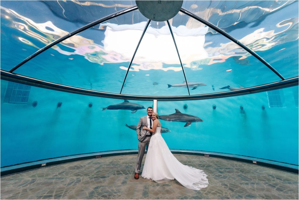 Bride and groom with dolphins on their wedding day