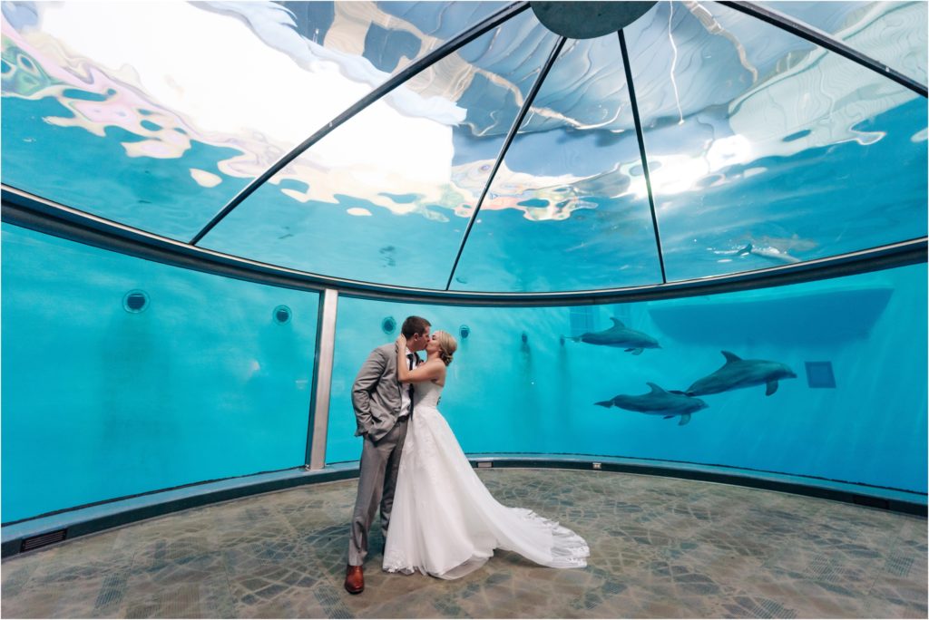 Bride and Groom kissing in front of the dolphins on their wedding day